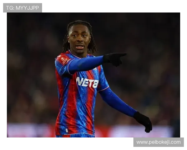 水晶宫俱乐部宣布纽约喷气机老板收购股份或有望参加下赛季欧战